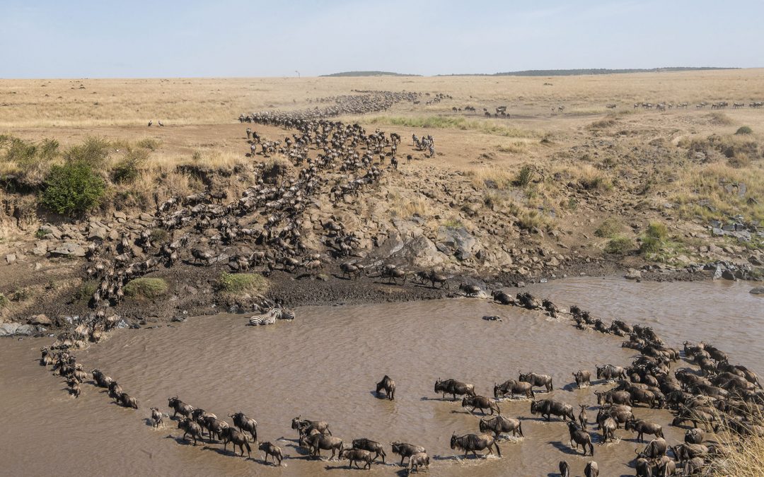 Gran Migración en el Masai Mara